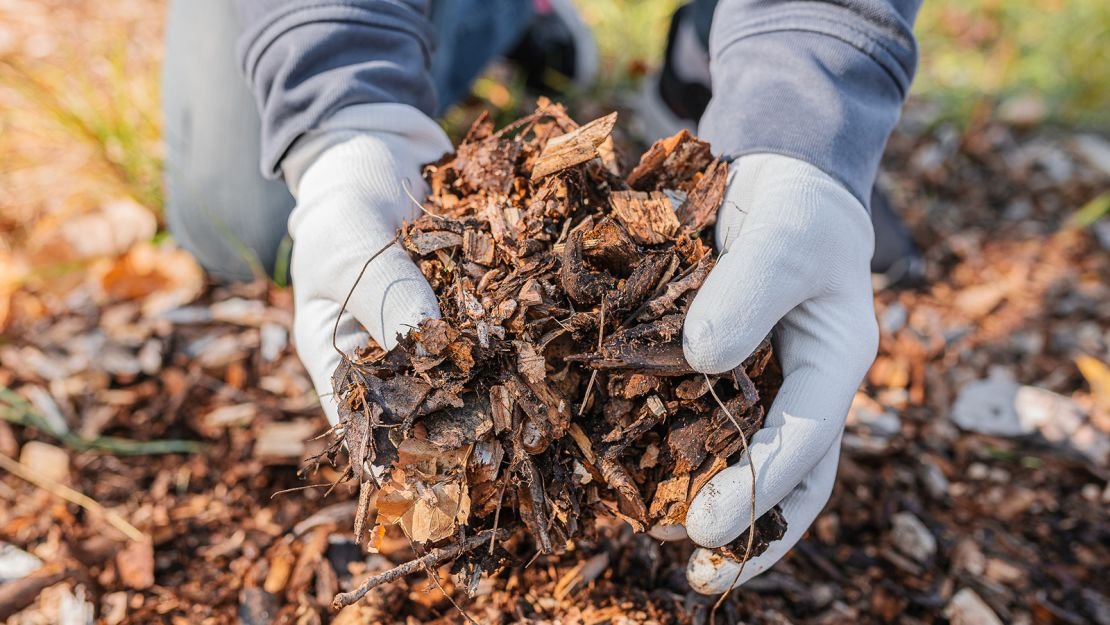 compost at home 7