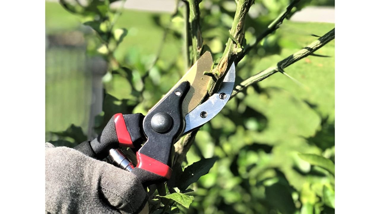 Mr. Pen Pruning Shears