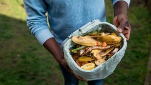 How to compost at home: Rich soil for gardening